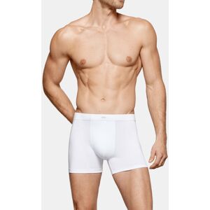 IMPETUS Boxer d´homme Cotton Modal BLANC L homme