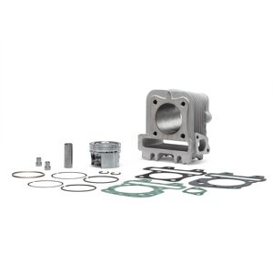 Cilindro 49 In Alluminio Con Spinotto 13 4-Stroke Malossi Piaggio Zip S 3v Iget 50 Ie 4t Euro 5 2021+