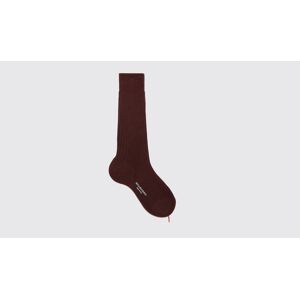 Scarosso Burgundy Cotton Calf Socks - Uomo Calze Borgogna - Cotone 40-41