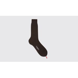 Scarosso Dark Brown Cotton Calf Socks - Uomo Calze Marrone - Cotone 42-43