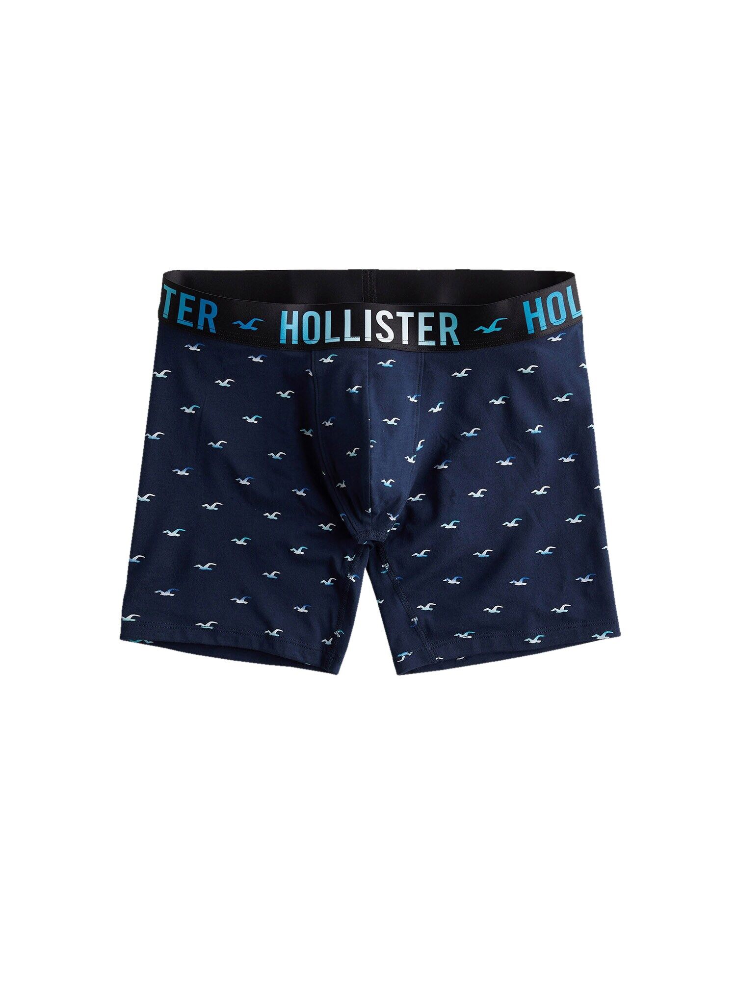 HOLLISTER Boxer Blu