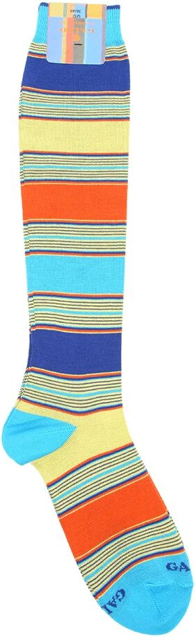 Gallo Calze lunghe a righe diverse multicolor