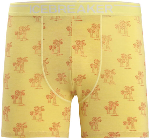 Icebreaker Anatomica - boxer - uomo Yellow S