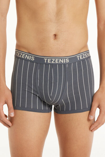 Tezenis Boxer in Cotone Stampato Bordi a Contrasto con Logo Uomo Grigio Tamaño XXL