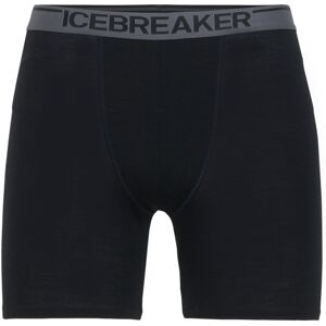 Icebreaker Anatomica Long Boxers Ms Black XL