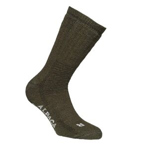 Alpacasocks ALPACASOCKS 2-PACK  TAIANDA