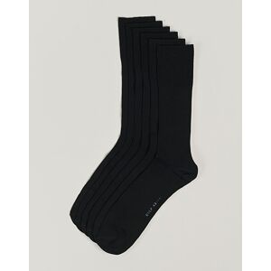 CDLP 6-Pack Cotton Rib Socks Black