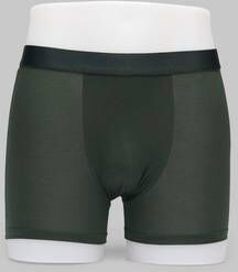 Cdlp Underbukser Boxer Brief Grønn  Male Grønn