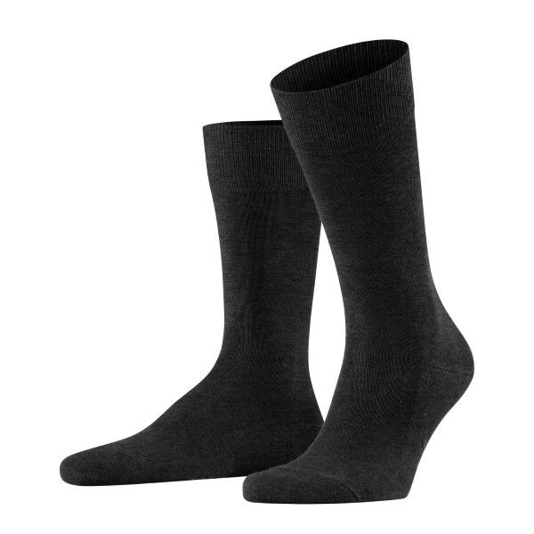 Falke Family Crew Sock - Anthracite