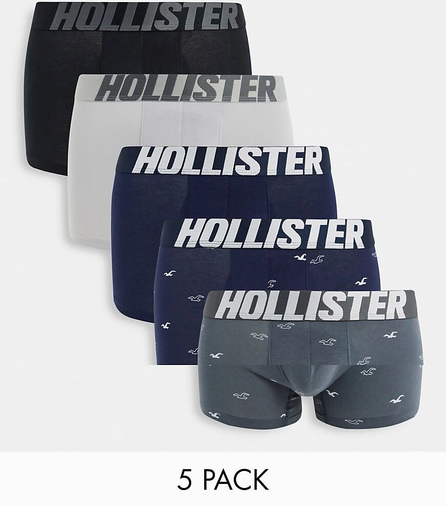 Hollister 5 pack tonal logo waistband plain and all over icon logo trunks in black/grey/navy-Multi  Multi