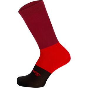 SANTINI Bengal Cycling Socks Cycling Socks, for men, size XL, MTB socks, Cycling gear