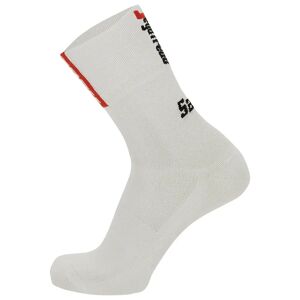 Santini TREK SEGAFREDO 2023 Cycling Socks Cycling Socks, for men, size XS-S