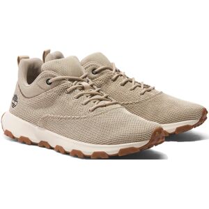 Timberland Sneaker »Winsor Park LOW LACE UP SNEAKER« lt bei knit  43 (9)