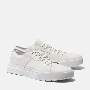 Timberland Sneaker »Maple Grove LOW LACE UP SNEAKER« whi nubuck  43 (9)
