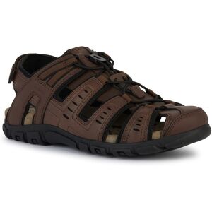 Geox Sandale »UOMO SANDAL STRADA C«, Sommerschuh, Klettschuh, Outdoorsandale,... dunkelbraun-schwarz Größe 47