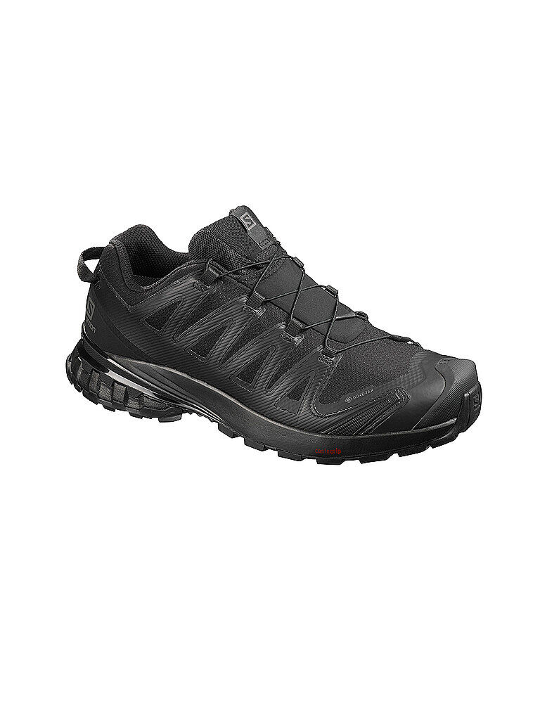 SALOMON Herren Traillaufschuhe XA Pro 3D V8 GTX schwarz   Größe: 41 1/3   409889 Auf Lager Herren 41 1/3