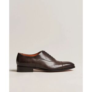 Santoni Blake Oxford Dark Brown Calf