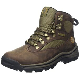 Timberland RG Hike FTP Chocorua Mid GTX Women's Short Boots Brown 42 EU