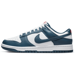 Nike Dunk Low Retro-sko til mænd - blå blå 40