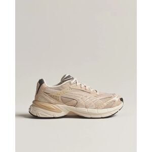 Puma Velophasis SD Running Sneaker Granola men EU42 Beige