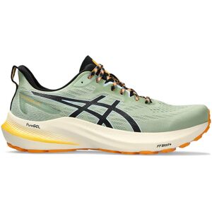 Asics Gt2000 12 Tr Trail Løbesko Herrer Løbesko Grøn 46