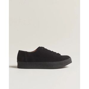 Sanders Ash Suede Monkey Shoe Black - Ruskea - Size: 18MM - Gender: men