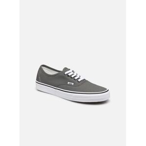 Authentic par Vans Gris 45 Homme - Publicité