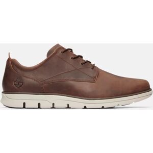 Timberland Chaussure En Cuir Oxford Bradstreet Pour Homme En Marron Marron, Taille 44 - Publicité