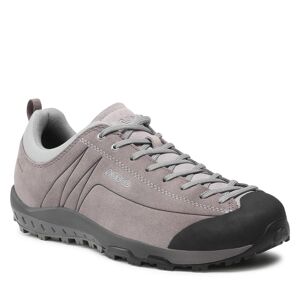 Chaussures de trekking Asolo Space Gv MM GORE-TEX A40504 00 Gris