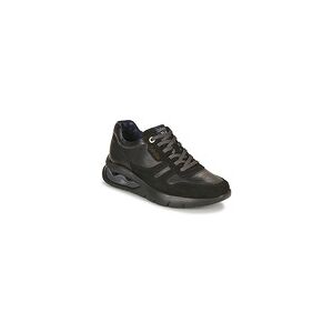 Baskets basses CallagHan VENTO Noir 42,43,44 hommes