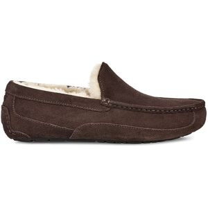 Ugg Ascot Slippers Marron EU 42 Homme Marron EU 42 male - Publicité