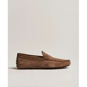 Tod's Gommino Carshoe Brown Suede