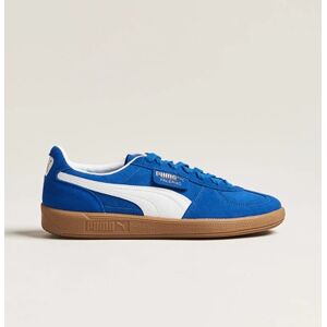 Puma Palermo Suede Sneaker Cobalt Glaze