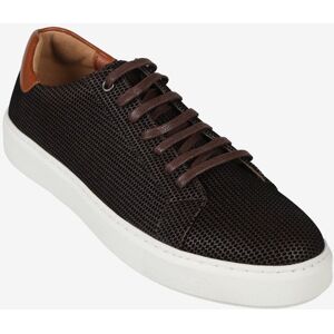 Gian Marco Venturi Sneakers basse da uomo stringate Sneakers Basse uomo Marrone taglia 40