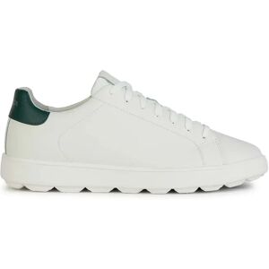 Geox Sneakers Bianche Uomo BIANCO/VERDE 40