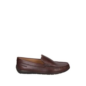 Lumberjack Slip On Uomo Colore Marrone MARRONE 40