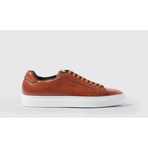 scarosso ugo - uomo sneaker brown - calf 43,5