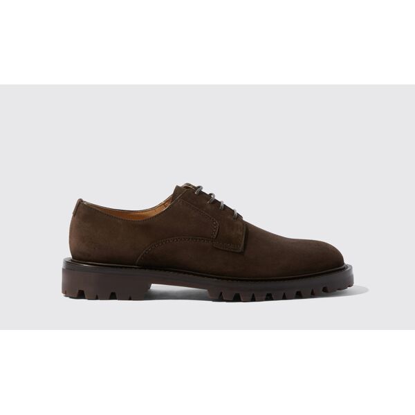 scarosso wooster iii brown suede - uomo derbies brown - suede 42,5