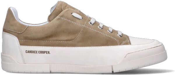 CANDICE COOPER. Sneaker uomo beige/bianca in suede PANNA 43