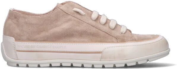 CANDICE COOPER. Sneaker uomo beige in suede MARRONE 43