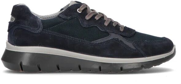 IGI&CO Sneaker uomo blu in suede BLU 40