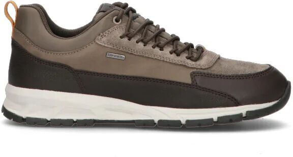 Geox SNEAKERS UOMO MARRONE MARRONE 41