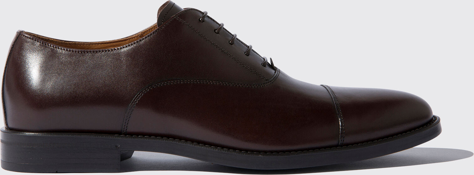 Scarosso Cesare Moro - Uomo Scarpe Oxford Marrone Scuro - Vitello 40