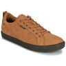 Lage Sneakers Saola CANNON WP Bruin 42,43,44 Man