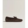Tod's Lacetto Gommino Carshoe Dark Brown Suede