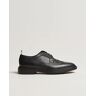 Thom Browne Pebble Grain Longwing Brogue Black