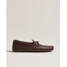 Tod's Lacetto Gommino Carshoe Dark Brown Calf