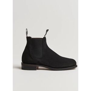 R.M.Williams Wentworth G Boot Black Suede