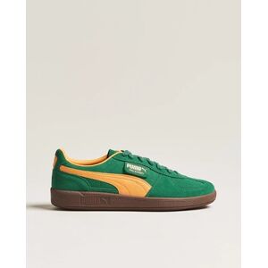 Puma Palermo Suede Sneaker Vine/Clementine