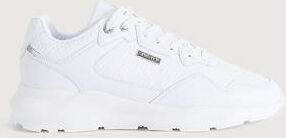 Siksilk Sneakers Siksilk Faze Anaconda Hvit  Male Hvit